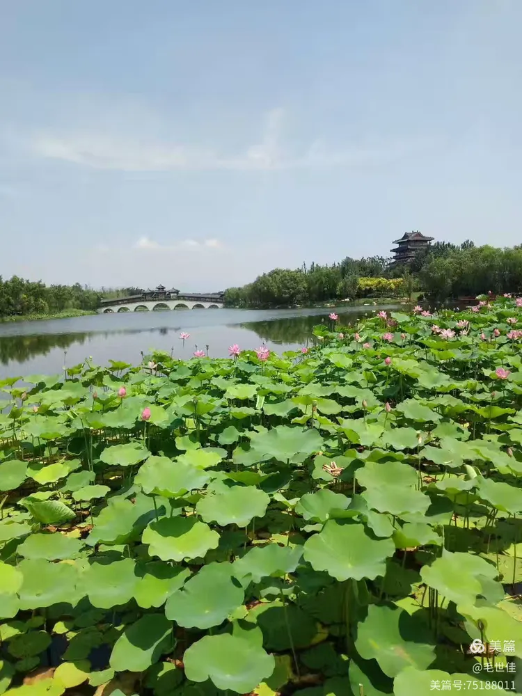 阖家游戴河公园